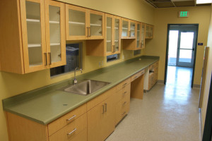 Exam room with counters and glass cupboards