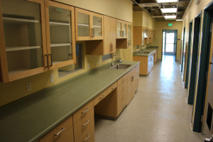 Exam room with counters and glass cupboards